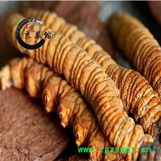 冬虫夏草 藏虫草精选1800条 药典标准 地道良药馆10克起拍图2