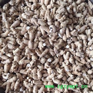 诺源中药材西洋参 中药材洋参3克立头图2