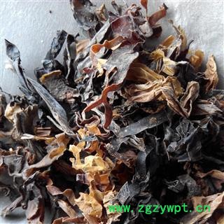 昆布 昆布统货 产地 广西壮族自治区图2