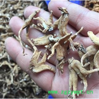 诺源药材行中药材佛手参 手掌参 掌参图2