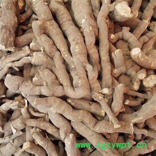 煜庭药业 雪里开图4