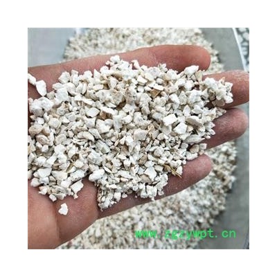 茯苓 茯苓粒 产地 安徽省安庆市