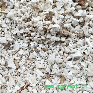 茯苓 茯苓粒 产地 安徽省安庆市图2