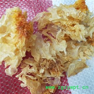 银耳 碎银耳干净无杂 产地 福建省图3