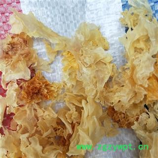 银耳 碎银耳干净无杂 产地 福建省图2