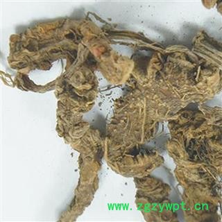 煜庭药业 秋海棠 岩丸子图4