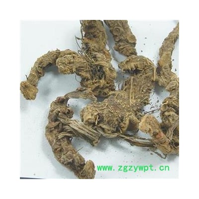 煜庭药业 秋海棠 岩丸子