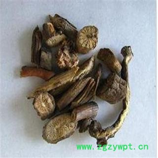 煜庭药业 秋海棠 岩丸子图3