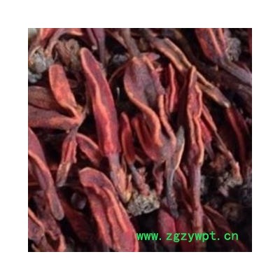 小丽百草行中药材灵芝  回春草  顶天柱万生菌  镇西回春草