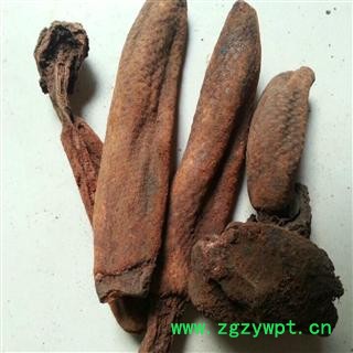 小丽百草行中药材灵芝  回春草  顶天柱万生菌  镇西回春草图2