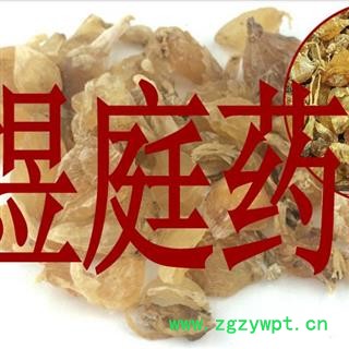 煜庭药业 薤白 山蒜图2