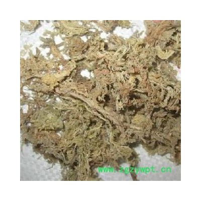 小丽百草行中药材石蕊 石蕊花 云芝茶 太白花 太白树产地黑龙江