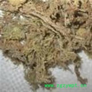 小丽百草行中药材石蕊 石蕊花 云芝茶 太白花 太白树产地黑龙江图2