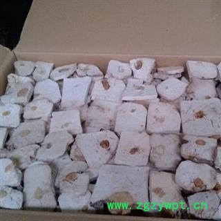 茯神 个个有神 质量好 假一赔十图3