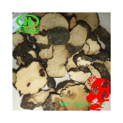 世元药业 猪苓 鸡粪猪苓 粉猪苓 野猪粪 地乌桃 猪茯苓 猪灵芝 【全品除尘中药】