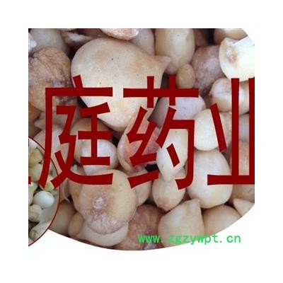 煜庭药业 光慈姑 野生 正品