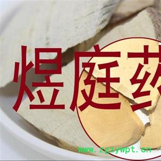 煜庭药业 三叉苦 鸡骨木 天然图2