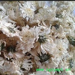 世元药业 贡菊 黄山贡菊 徽州贡菊 徽菊 七月菊 茶饮一级 烘干图2