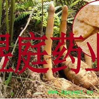 煜庭药业 天麻 天麻个图2