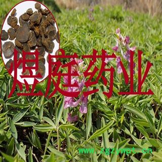 煜庭药业 元胡 延胡索图3