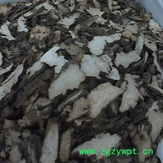 猪苓 统 产地 陕西省图2