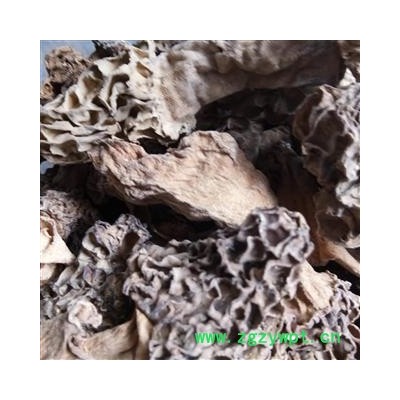 羊肚菌 统货 野生羊肚菌  产地 安徽省