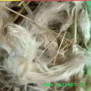 瑞森药材行中药材芦苇花 芦花 葭花 芦根花芦蓬蕽、蓬蕽、蓬茸、水芦花图2