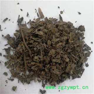 瑞森药材行 中药材 算盘子叶 野南瓜叶图2