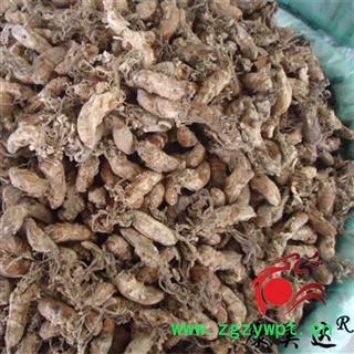 蝉花 统货 产地 安徽省安庆市 金蝉花 凯捷中药图3