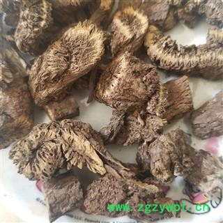 禹州漏芦 漏芦 漏芦统片图4