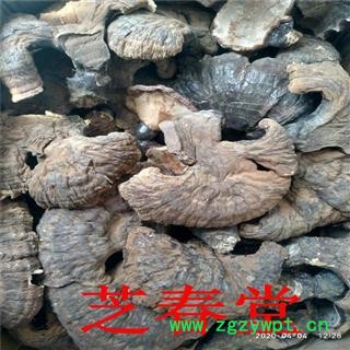 产地新货源东北野生赤红黑灵芝个片仿野生散装紫竹规格齐全批发图4