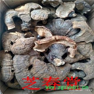产地新货源东北野生赤红黑灵芝个片仿野生散装紫竹规格齐全批发图3