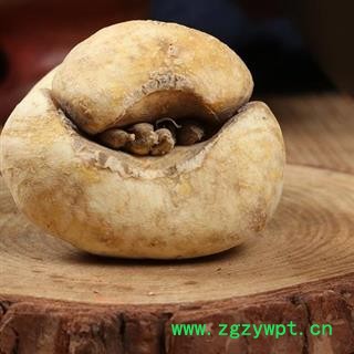 瑞森药材行浙贝母 大贝母 选货 统货 产地 浙江省图2