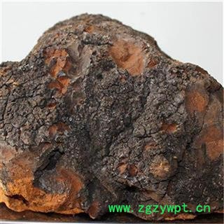 芝春堂 白桦茸 正品 桦树茸 白桦泪 桦树泪 桦树黄 桦树菇 桦褐孔菌 产地东北大兴安岭图3