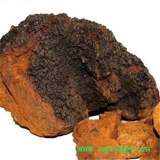 芝春堂 白桦茸 正品 桦树茸 白桦泪 桦树泪 桦树黄 桦树菇 桦褐孔菌 产地东北大兴安岭图4