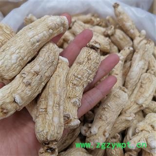 瑞森药材行人参 生晒参单支20克左右新货实物拍照图3