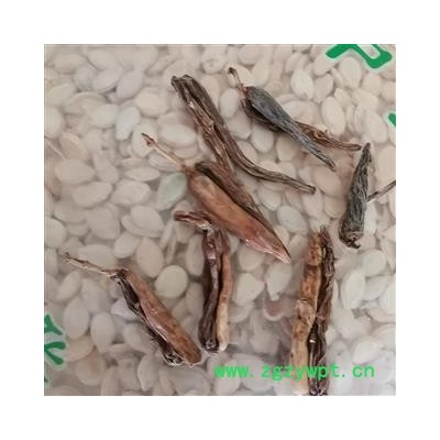 瑞森药材行双肾参 天鹅抱蛋、玉凤花根、对对参、双黄参、鸡卵参