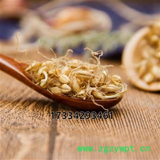 中药材薤白薤葱薤白头菜芝图4