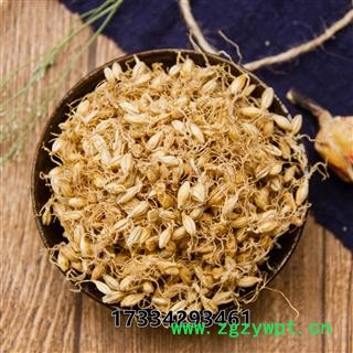 中药材薤白薤葱薤白头菜芝图3