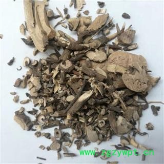 瑞森药材行 朱砂根 红铜盘 硃砂根 八角金龙 凉伞遮金珠 石青子 珍珠伞图3