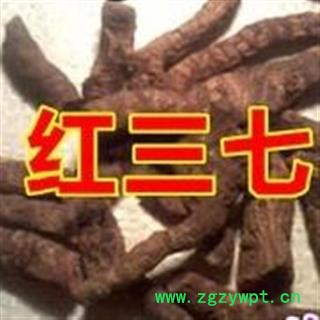 诺源药材行中药材云南血三七图2