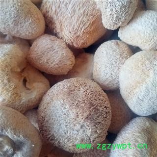 东北猴头菇干货  猴菇 猴头蘑菇干猴头菌图2