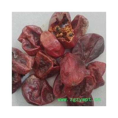 中药材 赤瓟 赤包子 气包 赤包 山屎瓜 赤雹 屎包子 山土豆