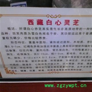 圣草康园中药材  白心灵芝 西藏白心图3