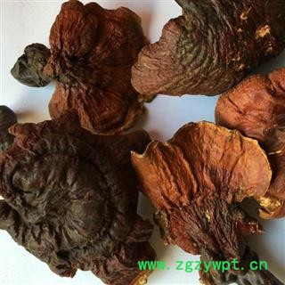 圣草康园中药材  白心灵芝 西藏白心图2