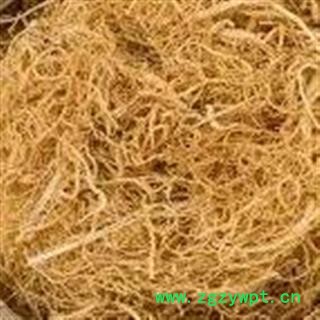 诺源药材行中药材人参  人参须 白参须 红参须图2