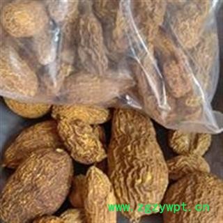 诺源药材行金果榄 金牛胆 金狮藤 九牛胆 青牛胆 金线吊葫芦图2