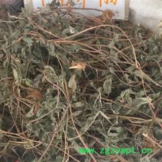 诺源药材行正品葛根 雾水葛  糯米草  脓见消图2