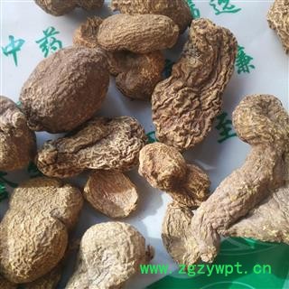 诺源药材行正品金果榄  地苦胆 九牛胆 青鱼胆图2