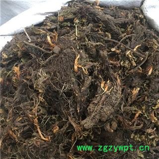 诺源药材行中药材甘松 香松 缬草 统货 产地 四川省图2
